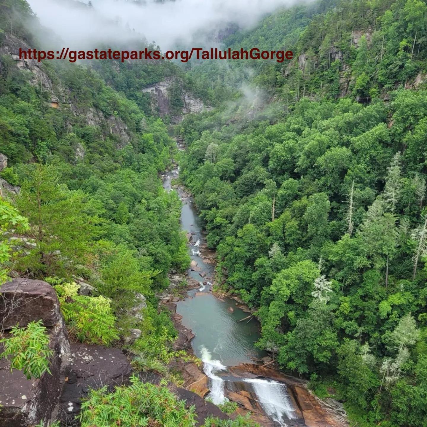 Mountain Valley Inn Dillard Bagian luar foto