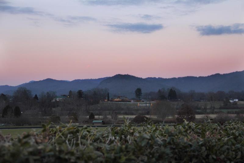 Mountain Valley Inn Dillard Bagian luar foto